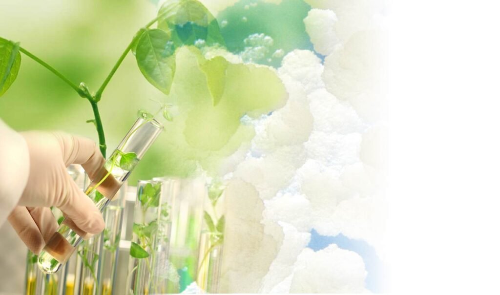 Cosmetic Private Label Manufacturers in India